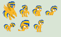 Size: 5872x3536 | Tagged: safe, artist:stephen-fisher, imported from derpibooru, oc, oc only, oc:flare spark, pegasus, expressions, facial expressions, female, solo