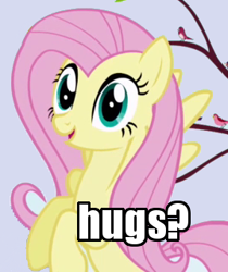 Size: 269x321 | Tagged: safe, edit, edited screencap, imported from derpibooru, screencap, fluttershy, bird, pegasus, pony, friendship is magic, season 1, bronybait, cropped, female, first bronybait image on derpibooru, hug, hug request, hugs?, image macro, looking at you, mare, meme, reaction image, solo, songbird