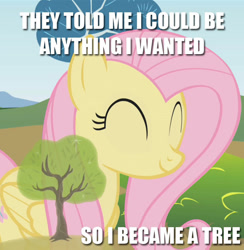 Size: 694x711 | Tagged: safe, artist:chrisboe4ever, imported from derpibooru, fluttershy, pegasus, pony, cute, eyes closed, female, fluttertree, image macro, leafing the dream, mare, meme, palindrome get, shyabetes, solo, text, tree