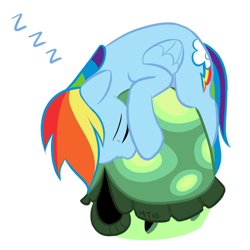 Size: 700x700 | Tagged: safe, artist:empty-10, imported from derpibooru, rainbow dash, tank, pegasus, pony, duo, female, mare, pet, photoshop, simple background, sleeping, white background, zzz