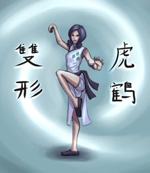 Size: 1300x1500 | Tagged: dead source, safe, artist:ninjaham, imported from derpibooru, rarity, human, abstract background, acdsee, action pose, cheongsam, chinese, clothes, female, humanized, kung fu, martial artist rarity, solo, text