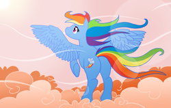 Size: 1267x800 | Tagged: dead source, safe, artist:atlur, deleted from derpibooru, imported from derpibooru, rainbow dash, pegasus, pony, cloud, cloudy, female, flying, mare, photoshop, plot, rear view, solo, wind