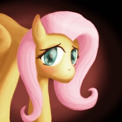 Size: 800x800 | Tagged: dead source, safe, artist:atlur, deleted from derpibooru, imported from derpibooru, fluttershy, pegasus, pony, blushing, female, gradient background, looking at you, mare, photoshop, solo