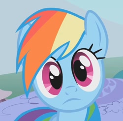 Size: 470x462 | Tagged: safe, imported from derpibooru, screencap, rainbow dash, pegasus, pony, dragonshy, season 1, breaking the fourth wall, cropped, cute, dashabetes, derp, female, frown, g4, looking at you, mare, rainbow dash is best facemaker, reaction image, solo, stare, wide eyes