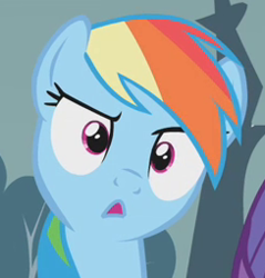 Size: 244x255 | Tagged: safe, imported from derpibooru, screencap, rainbow dash, pegasus, pony, season 1, swarm of the century, :o, confused, cropped, cute, dashabetes, female, g4, mare, open mouth, rainbow dash is best facemaker, raised eyebrow, reaction image, solo, stare