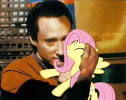 Size: 402x318 | Tagged: safe, edit, edited screencap, imported from derpibooru, screencap, fluttershy, spot, human, pegasus, pony, crossover, data, duo, female, happy, hilarious in hindsight, irl, irl human, mare, photo, star trek, star trek: the next generation