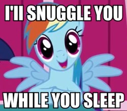 Size: 277x243 | Tagged: safe, imported from derpibooru, rainbow dash, image macro, imma snuggle you, snuggling, solo