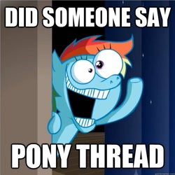 Size: 600x600 | Tagged: safe, artist:hotdiggedydemon, imported from derpibooru, rainbow dash, .mov, shed.mov, image macro, pony.mov