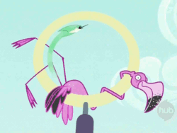 Size: 800x600 | Tagged: safe, imported from derpibooru, screencap, flamingo, hummingbird, may the best pet win, season 2, animated, cropped, gif, hub logo, loop, you spin me right round