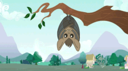 Size: 500x280 | Tagged: safe, imported from derpibooru, screencap, bat, may the best pet win, animated, ear flick, ear twitch, echolocation, hub logo, solo, tree branch, upside down