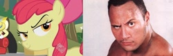 Size: 1057x348 | Tagged: safe, imported from derpibooru, apple bloom, human, comparison, dwayne johnson, irl, photo, the rock, wwe