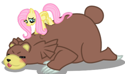 Size: 430x255 | Tagged: safe, artist:seaandsunshine, imported from derpibooru, fluttershy, bear, pegasus, pony, ursaring, crossover, female, mare, massage, pokémon, simple background, transparent background, vector