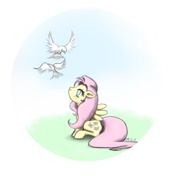 Size: 900x900 | Tagged: safe, artist:kiri-ri, imported from derpibooru, fluttershy, bird, female, filly, solo