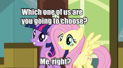 Size: 977x539 | Tagged: safe, imported from derpibooru, fluttershy, twilight sparkle, choice, image macro, question