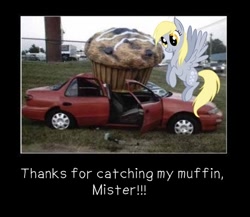 Size: 460x399 | Tagged: safe, imported from derpibooru, derpy hooves, pony, irl, muffin, photo, ponies in real life