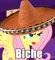 Size: 192x209 | Tagged: safe, artist:howdogz, imported from derpibooru, fluttershy, racism, vulgar