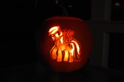 Size: 1024x681 | Tagged: safe, imported from derpibooru, rainbow dash, pony, jack-o-lantern, photo, pumpkin