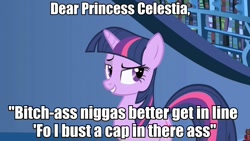 Size: 960x540 | Tagged: safe, imported from derpibooru, twilight sparkle, dear princess celestia, image macro, politically incorrect, vulgar