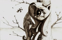 Size: 1694x1112 | Tagged: safe, artist:lordgood, imported from derpibooru, fluttershy, pony, autumn, female, grayscale, solo