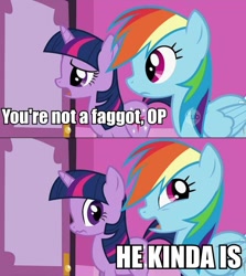 Size: 536x600 | Tagged: safe, imported from derpibooru, rainbow dash, twilight sparkle, image macro, meme, op, op is a faggot, reaction image, vulgar