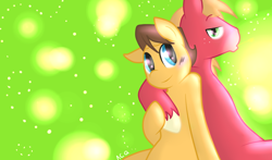 Size: 900x529 | Tagged: safe, artist:cleppyclep, imported from derpibooru, big macintosh, caramel, earth pony, pony, caramac, gay, male, shipping, stallion, wallpaper