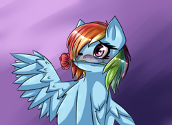 Size: 420x306 | Tagged: safe, artist:pyrogeists, imported from derpibooru, rainbow dash, blushing, chest fluff, rose