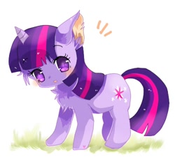 Size: 500x450 | Tagged: safe, artist:tsukuda, imported from derpibooru, twilight sparkle, cat, cat pony, original species, blushing, catified, chest fluff, cute, ear fluff, female, kitten, looking at you, pixiv, solo, species swap, twiabetes, twilight cat