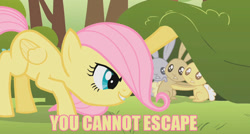 Size: 978x525 | Tagged: safe, edit, imported from derpibooru, screencap, fluttershy, rabbit