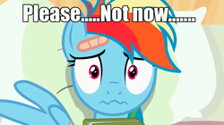 Size: 1280x718 | Tagged: safe, imported from derpibooru, rainbow dash, bed, book, caption, image macro, meme