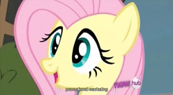 Size: 637x348 | Tagged: safe, imported from derpibooru, screencap, fluttershy, hub logo, youtube caption