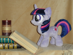 Size: 640x480 | Tagged: safe, artist:whitedove-creations, imported from derpibooru, twilight sparkle, pony, book, female, filly, irl, photo, plushie, solo
