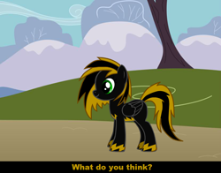 Size: 830x650 | Tagged: safe, imported from derpibooru, oc, oc only, pony creator