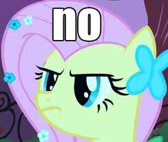 Size: 244x206 | Tagged: safe, imported from derpibooru, fluttershy, image macro, no, reaction image