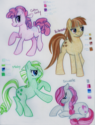 Size: 1165x1539 | Tagged: safe, artist:vertrev, imported from derpibooru, butterscotch (g1), cotton candy (g1), minty (g1), snuzzle, g1, g1 to g4, g4, generation leap, traditional art