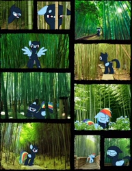 Size: 1583x2048 | Tagged: safe, imported from derpibooru, rainbow dash, pony, bamboo, bamboo forest, collage, ninja