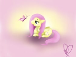 Size: 640x480 | Tagged: safe, artist:poppaaybarakitten, imported from derpibooru, fluttershy, pony, female, solo