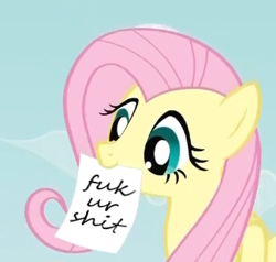 Size: 324x309 | Tagged: safe, imported from derpibooru, fluttershy, exploitable meme, fluttershy's note meme, meme, segoe script, vulgar