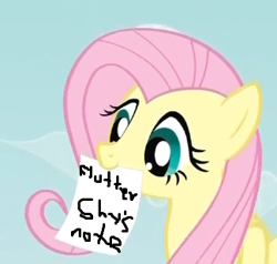 Size: 324x309 | Tagged: safe, imported from derpibooru, fluttershy, pony, exploitable meme, female, fluttershy's note meme, meme, note, solo