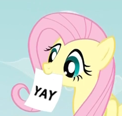 Size: 324x309 | Tagged: safe, imported from derpibooru, fluttershy, exploitable meme, fluttershy's note meme, flutteryay, meme, yay