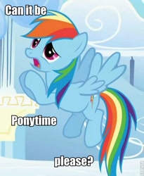 Size: 493x600 | Tagged: safe, imported from derpibooru, rainbow dash, pegasus, pony, image macro, solo