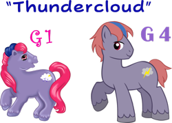 Size: 1280x920 | Tagged: safe, artist:ludiculouspegasus, imported from derpibooru, thundercloud (g1), earth pony, pony, g1, g1 to g4, g4, generation leap, male, simple background, solo, stallion, transparent background, vector
