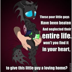 Size: 407x403 | Tagged: safe, imported from derpibooru, changeling, human, belly, hand, image macro, text, trypophobia