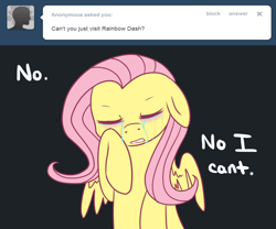 Size: 1200x1000 | Tagged: safe, artist:darkaiya, imported from derpibooru, fluttershy, ask sombershy, ask, crying, tumblr