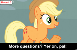 Size: 1024x672 | Tagged: safe, imported from derpibooru, applejack, comic:celestia's servant interview, caption, interview, meta