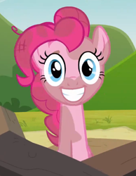 Size: 450x580 | Tagged: safe, imported from derpibooru, screencap, pinkie pie, too many pinkie pies, face