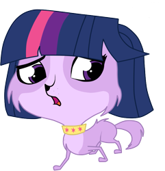 Size: 711x739 | Tagged: safe, artist:sakaki709, imported from derpibooru, twilight sparkle, littlest pet shop, simple background, solo, species swap, transparent background, twilight barkle, zoe trent