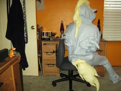 Size: 1280x960 | Tagged: safe, imported from derpibooru, derpy hooves, cosplay, fursuit, irl, photo