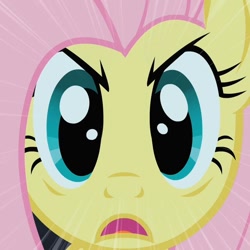 Size: 720x720 | Tagged: safe, imported from derpibooru, screencap, fluttershy, pony, stare master, cropped, female, looking at you, solo, stare, the stare
