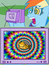 Size: 800x1065 | Tagged: safe, imported from derpibooru, rainbow dash, pony, exploitable meme, futurama, hypnotoad, meme, tv meme