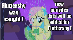 Size: 638x356 | Tagged: safe, edit, edited screencap, imported from derpibooru, screencap, fluttershy, the best night ever, caught, clothes, dress, embarrassed, female, gala, gala dress, image macro, net, night, parody, pokémon, ponymon, scratches, solo